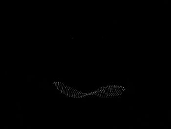 Firework display over black background