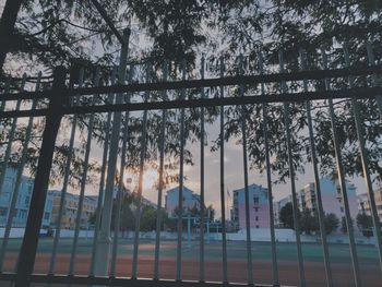 Low angle view of trees by building against sky