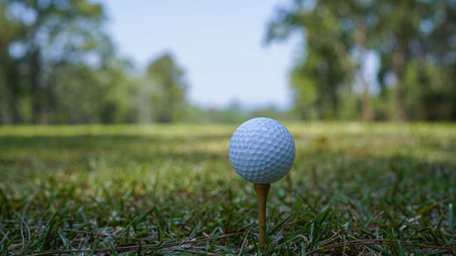 Golf ball on grass