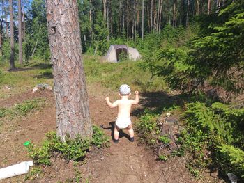 Rear view of man standing by tree in forest