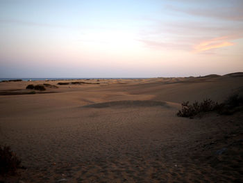 Scenic view of desert against sky during sunset