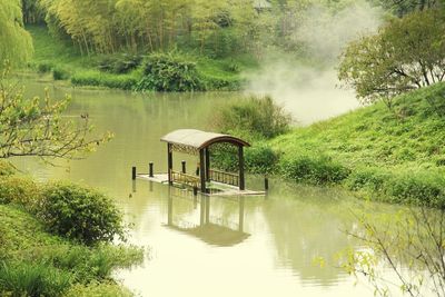 Scenic view of lake against trees