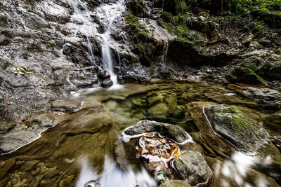 Water flowing through rocks in forest