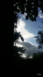 Low angle view of silhouette trees against sky