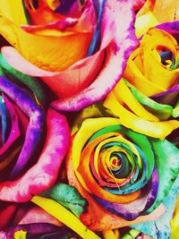 Full frame shot of colorful flowers