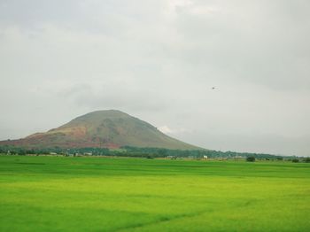 Scenic view of field and mountains against sky