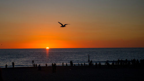 Silhouette birds flying over sea against sunset sky