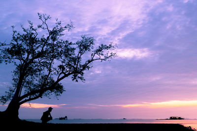 Silhouette person standing by tree against sky during sunset