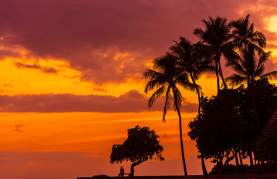 Hawaii sunset view of silhouette palm trees against romantic sky