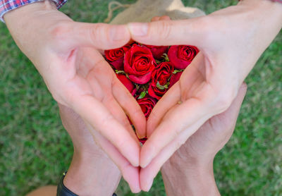 Close-up of hands holding roses