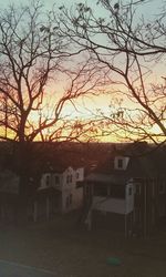 Bare trees against sky at sunset