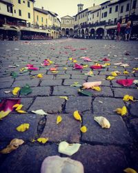 Autumn leaves on road in city