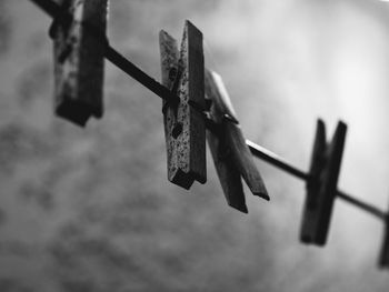 Close-up of clothespins hanging on rope