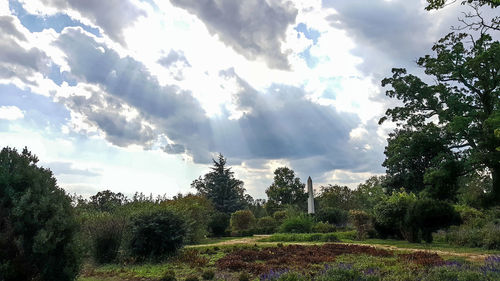 Panoramic shot of trees on land against sky