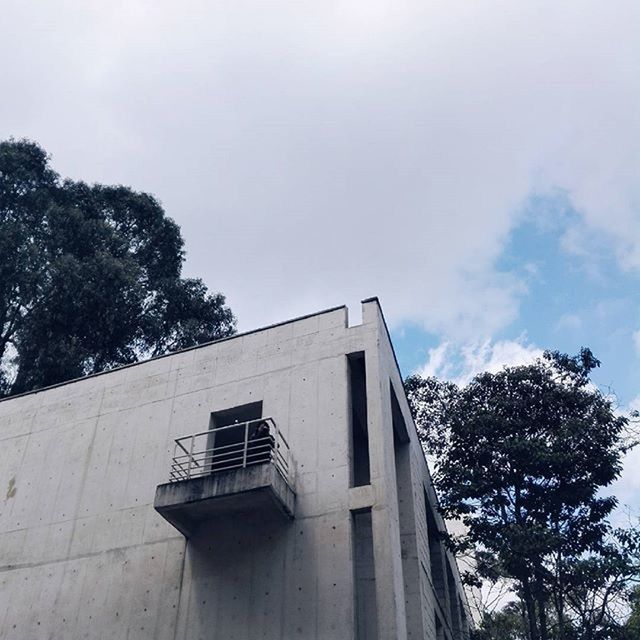 architecture, built structure, low angle view, building exterior, tree, sky, house, high section, building, residential structure, day, outdoors, residential building, roof, no people, clear sky, branch, growth, window, cloud - sky