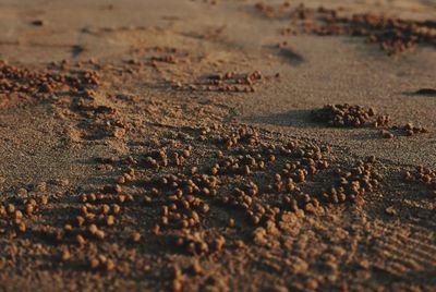 Full frame shot of mud on sand