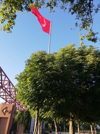 Low angle view of flag amidst trees against sky