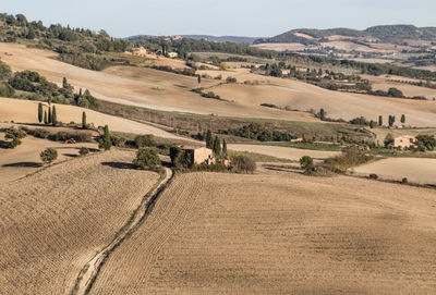 Scenic view of agricultural field against sky