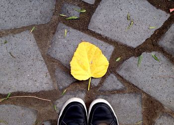 Low section of person standing on street