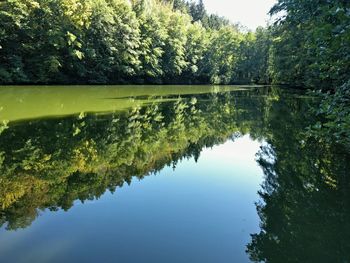 Reflection of trees in lake against sky