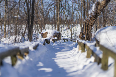 snow
