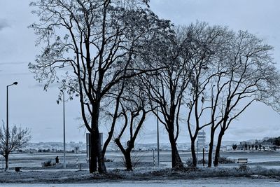 Bare trees on snow covered landscape against sky