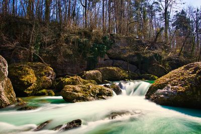 Stream flowing through rocks in forest