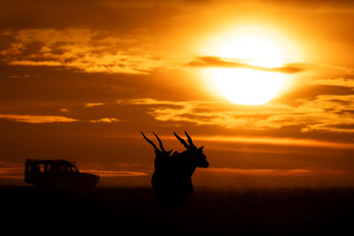 Scenic view of sunset