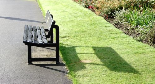 Empty bench in park on sunny day