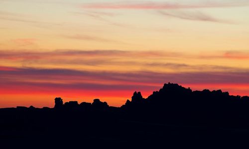 Silhouette of trees at sunset