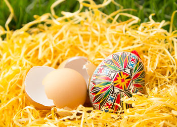 Easter eggs on nest
