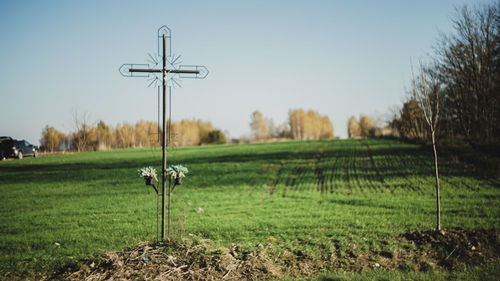 Scenic view of agricultural field against clear sky