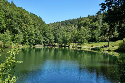 Scenic view of lake by trees against clear sky