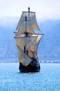 Sailboat sailing on sea against sky