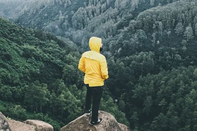 Rear view of man looking at mountain