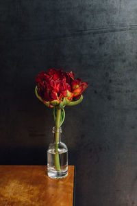 Red peony flower in bud vase, tiny glass liquor bottle against metal wall. thirsty flower