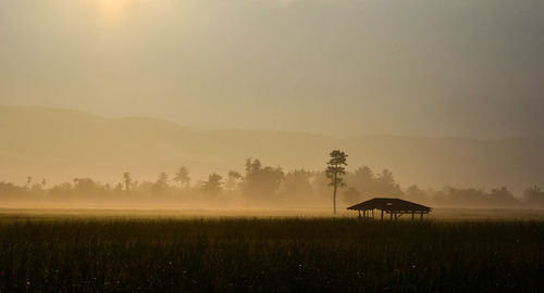 Scenic view of agricultural field against sky during sunset