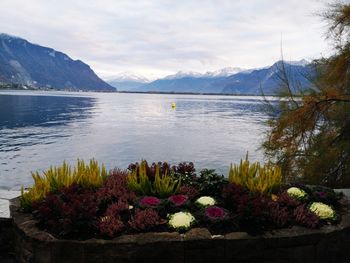 Scenic view of lake against cloudy sky