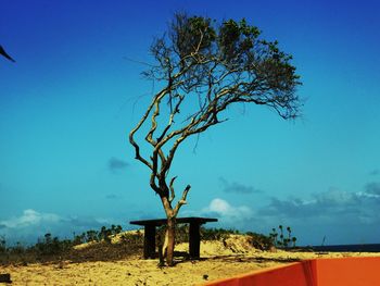 Scenic view of landscape against blue sky