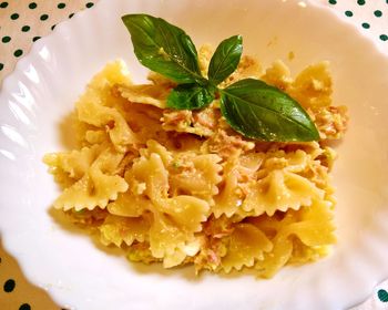 Close-up of ice cream in plate