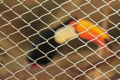 Full frame shot of chainlink fence