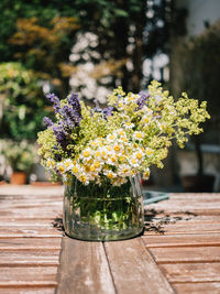 Close-up of potted plant on table