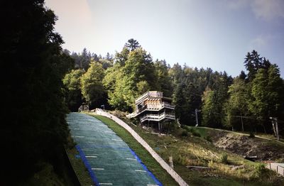View of trees by river