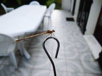 Close-up of eyeglasses on table