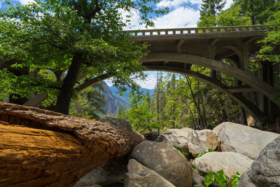 Bridge over rocks in forest