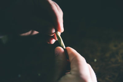 Close-up of hand holding marijuana joint