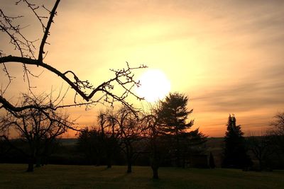 Silhouette bare trees against sky during sunset