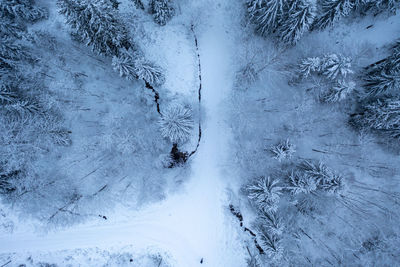 High angle view of snow covered field