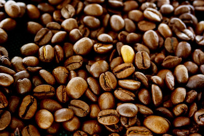 Full frame shot of coffee beans