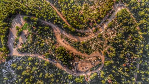 Aerial view of winding road in forest